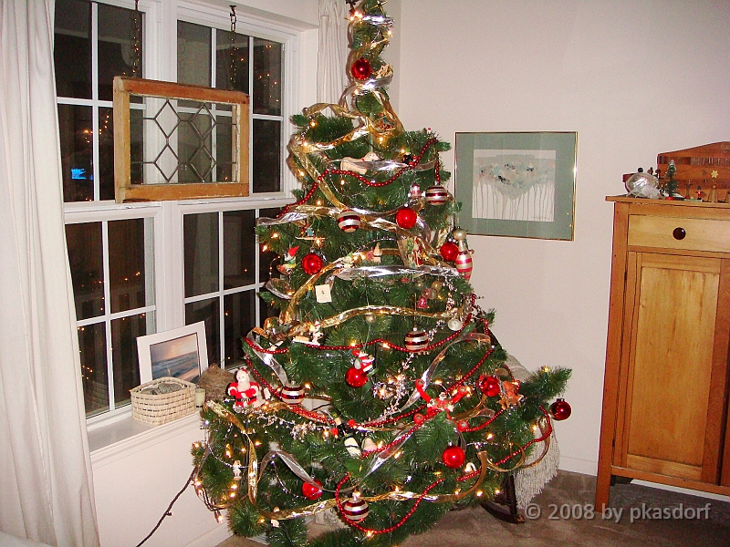 036 A2 Snowfall & Trees [2008 Dec 20].JPG - Our Christmas Trees for 2008.